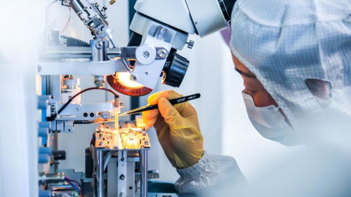 激勵更多年輕人走技能成才技能報國之路——以網絡科技技術開發為例